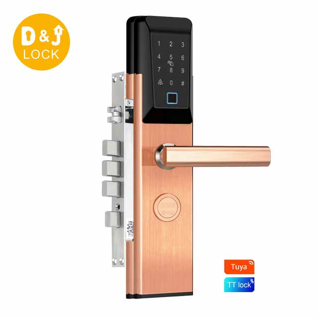 Full Set Keyless Entry Door Lock Tuya Modern Elegant Door With Smart Lock Convenient Apartment Door Lock