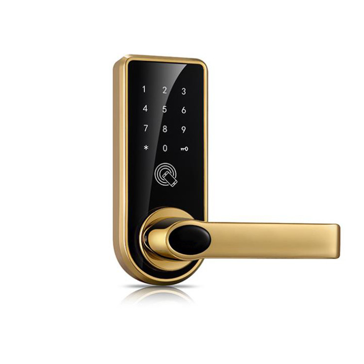 Manufacturer Special Apartment Password Door Lock Inner Door Single Tongue Lock Body APP Open Door Mobile Phone Management All Door Locks