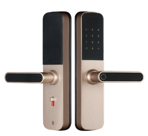 Multi-functional tuya smart lock with mini size 