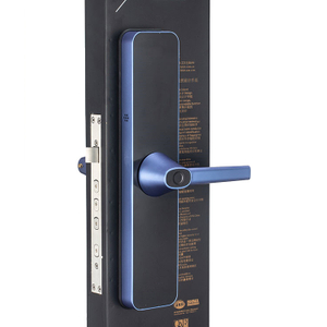 Blue Zinc Alloy 2020 Modern Design Smart Fingerprint Electronic Digital Door Lock